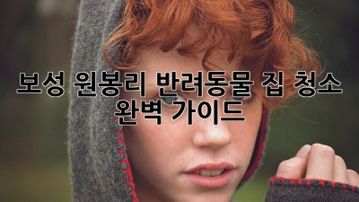 보성 원봉리 반려동물 집 청소 완벽 가이드!
