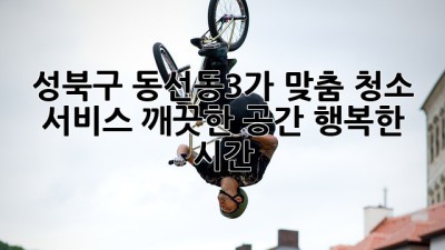 성북구 동선동3가 맞춤 청소 서비스: 깨끗한 공간, 행복한 시간
